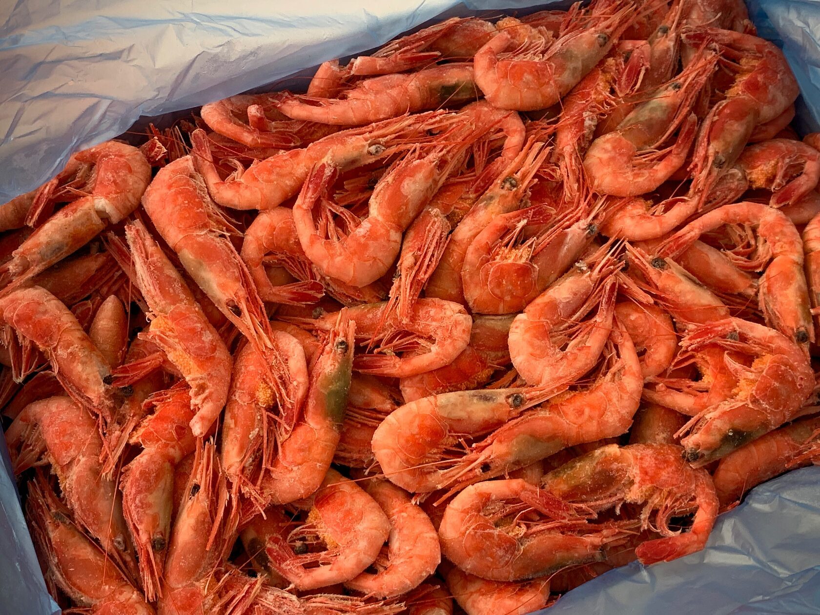 Креветки магаданские 70/90  5 кг